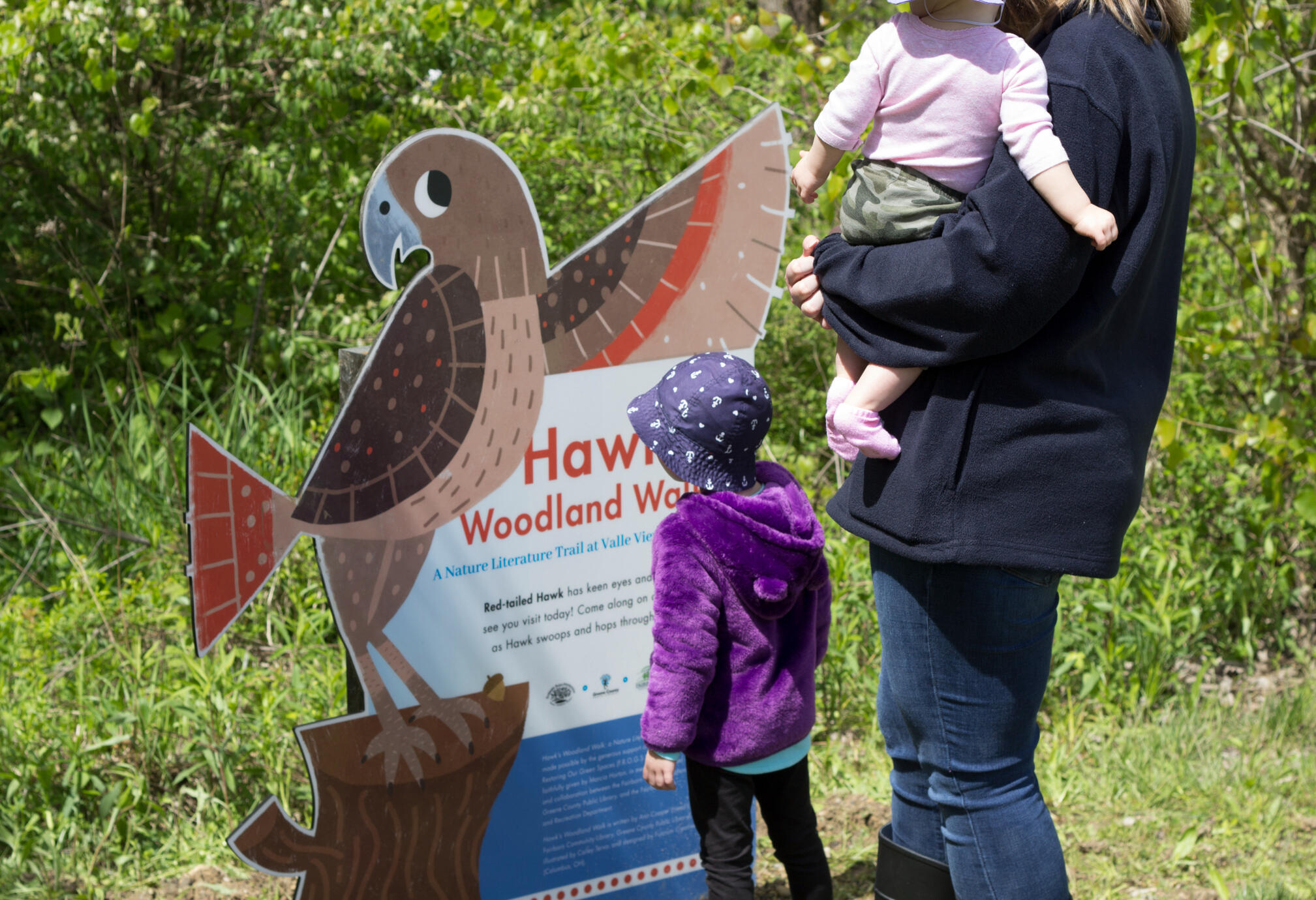 An outdoor photo of a sign in front of a forest. The sign is die cut and shaped to match the playful illustration (by Cat Tervo) of a Red-Tailed Hawk. The sign reads "Hawk's Woodland Walk."